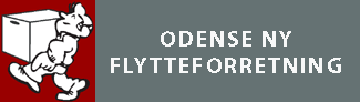 Odense Ny Flyt